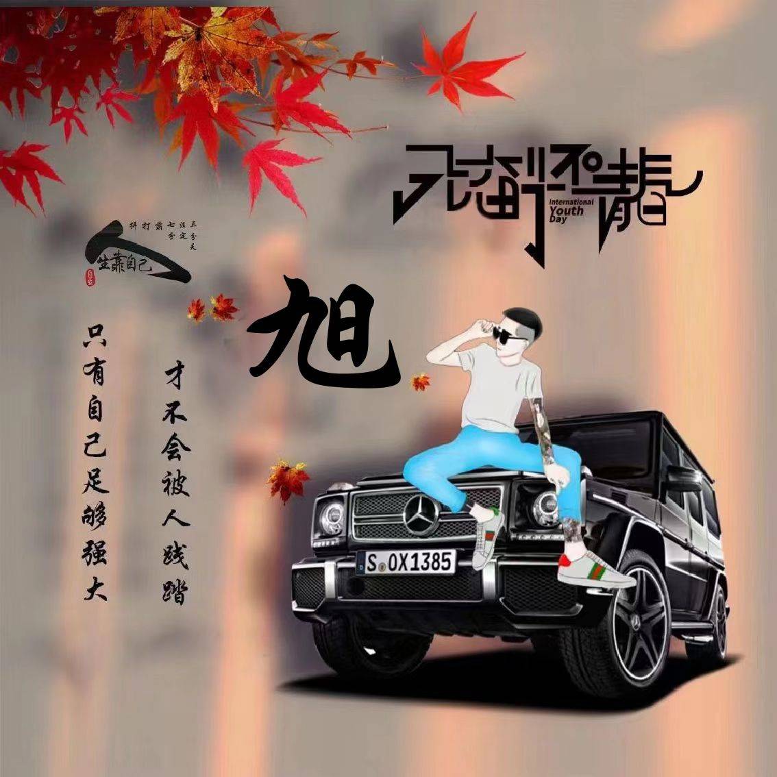 李姓氏头像汽车，探索未来智能出行的无限可能