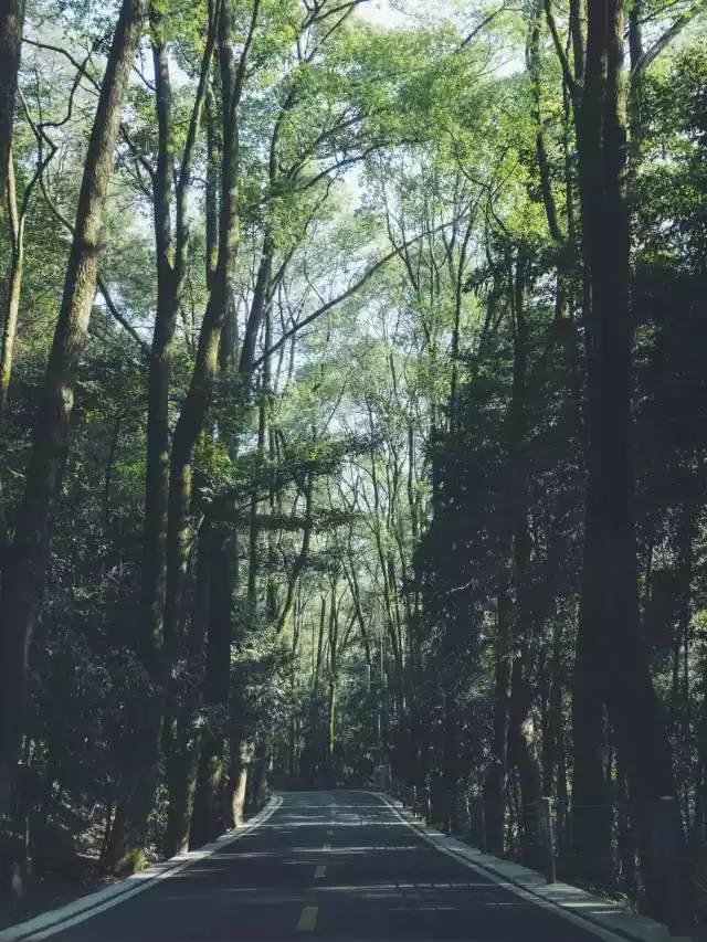 Google地图更新，实时空气质量监测功能上线