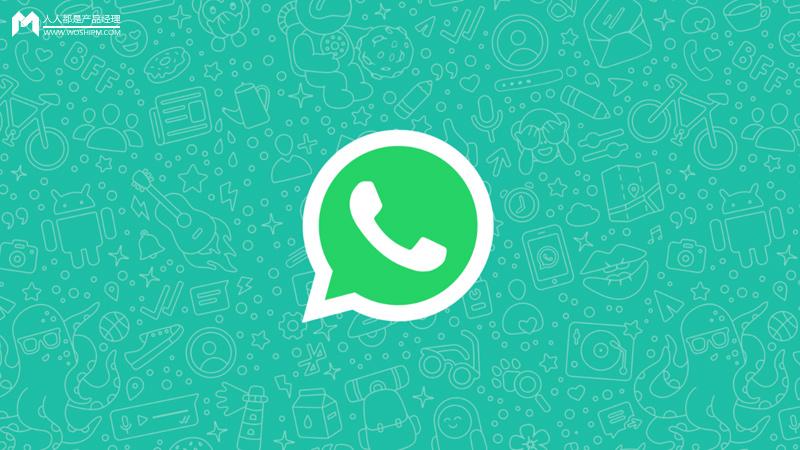 WhatsApp网页版团队协作效能深度洞察