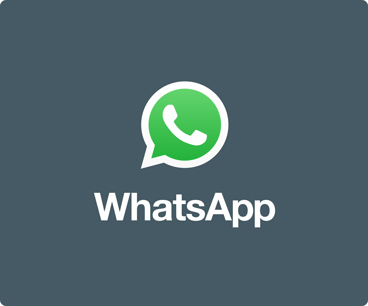 解码WhatsApp网页版办公高频密码，从碎片化到系统化的蜕变