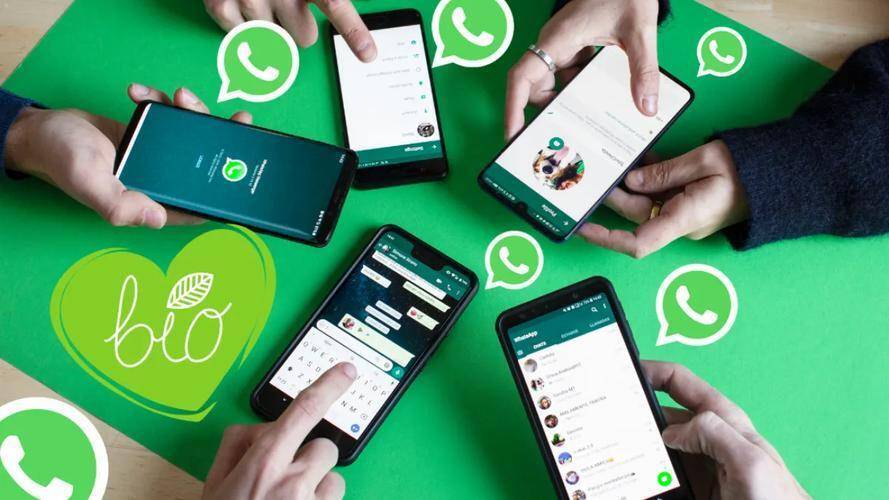 WhatsApp网页版职场进化论，从即时通讯到智能协作的趋势之路